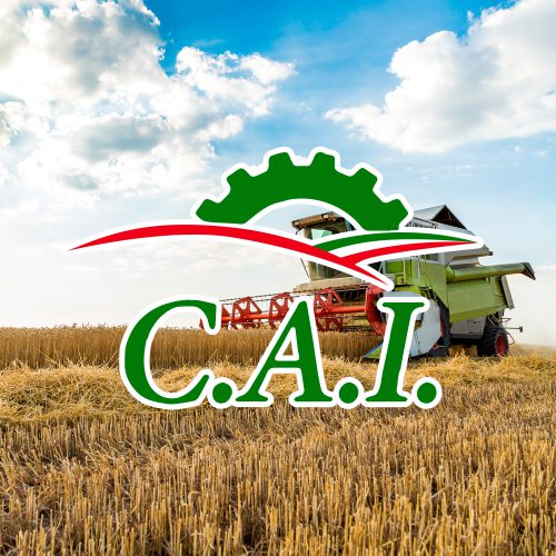 cai - sfondo